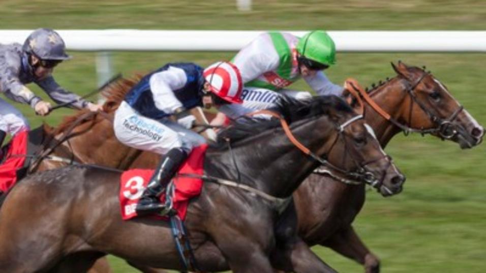 Catterick racecourse